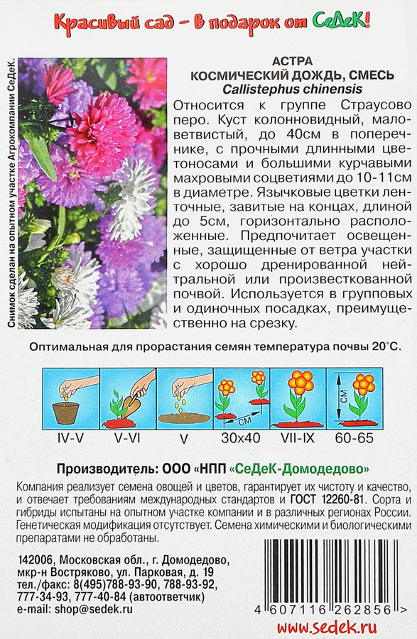 Семена Астра Космический дождь, предпросмотр