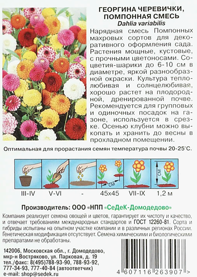 Семена Георгина Черевички, превью