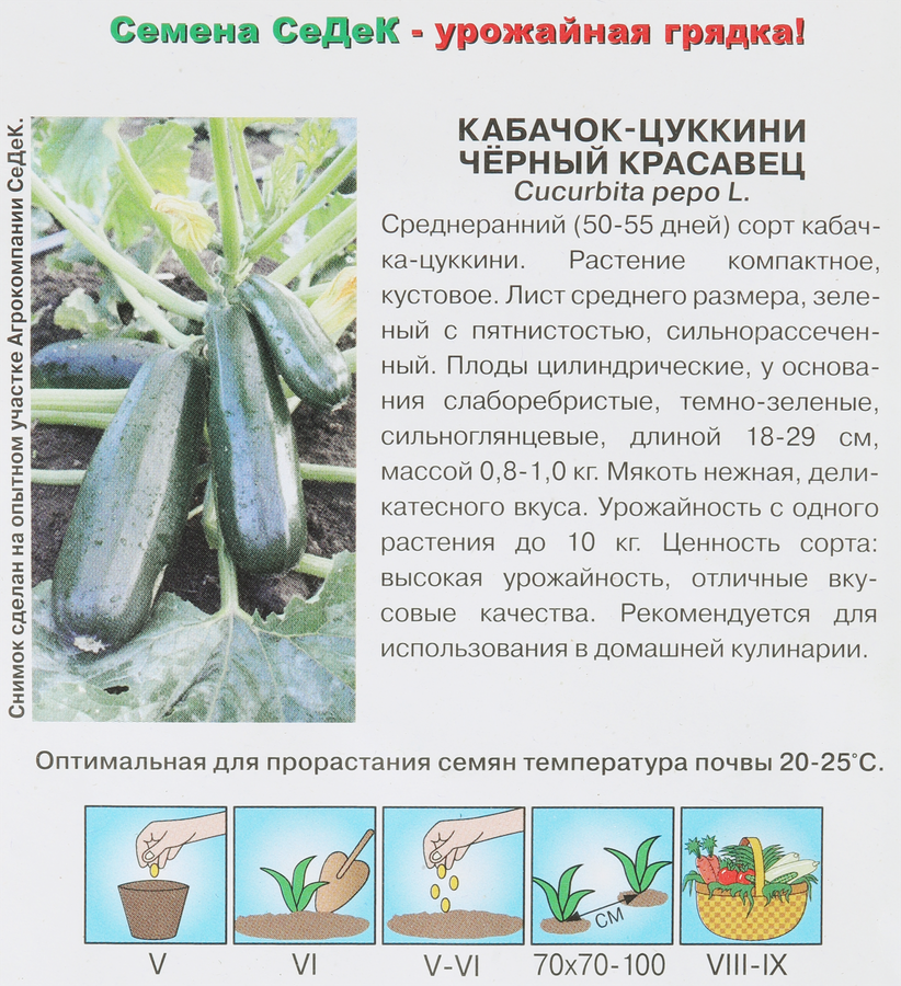 Семена Кабачок Черный красавец, предпросмотр