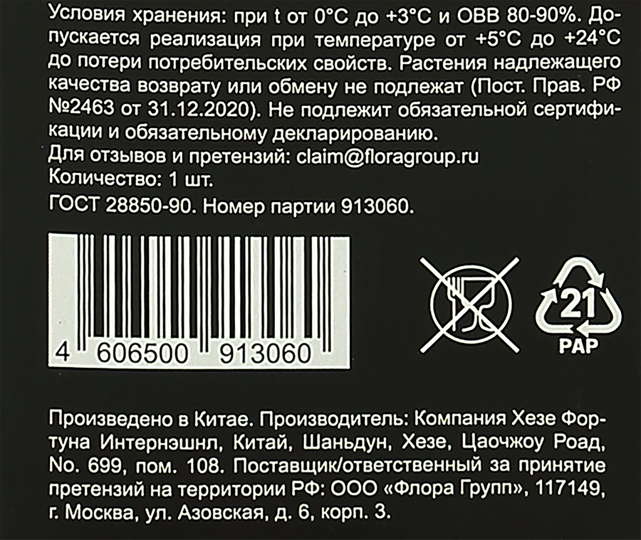 Пионы микс, превью