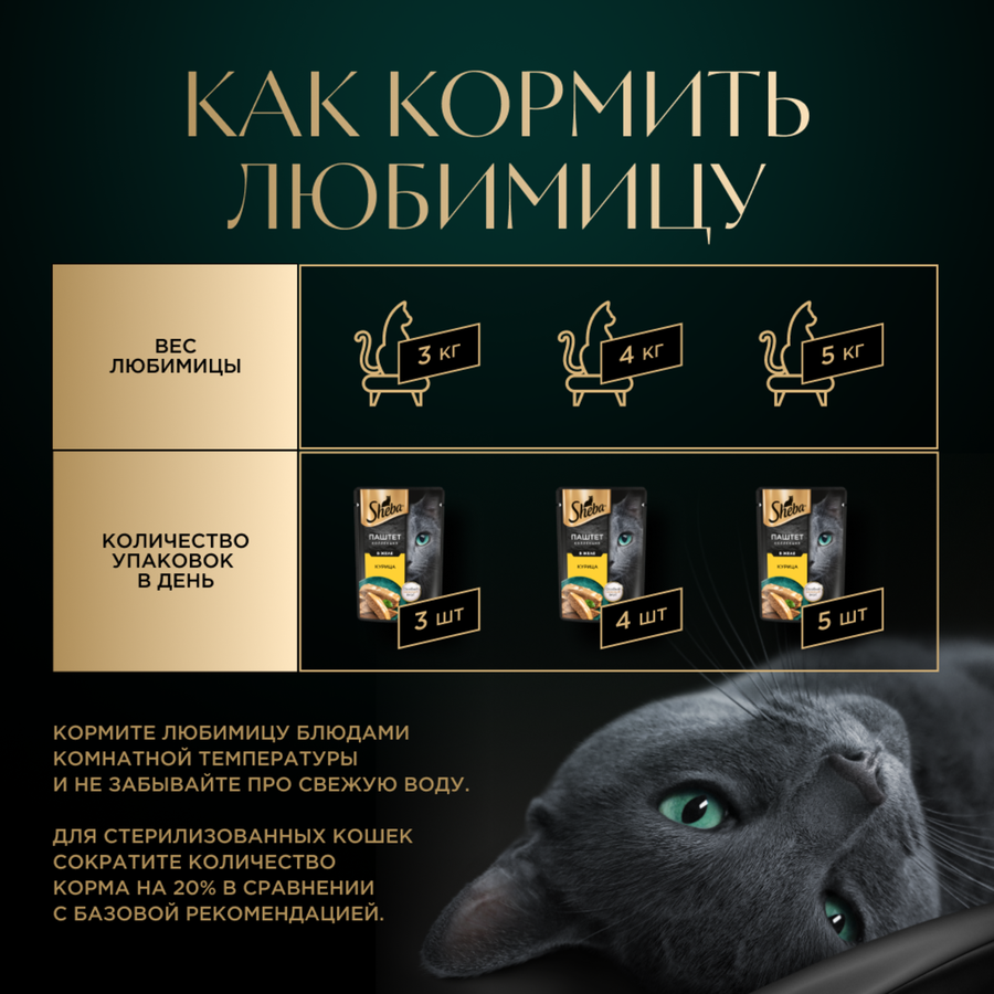 Корм консервированный для кошек SHEBA Нежный паштет в желе Курица, 75г, превью
